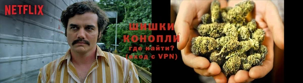 дживик Волосово