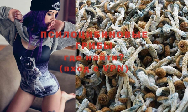 дживик Волосово