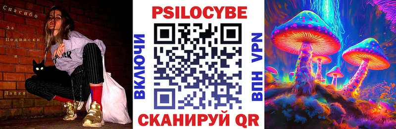 где найти наркотики  OMG ONION  Псилоцибиновые грибы Cubensis  Каргополь 