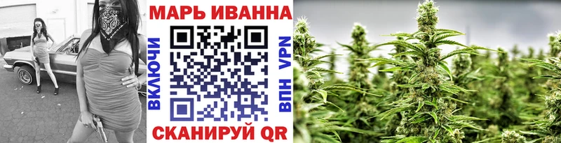 где купить наркотик  Каргополь  Канабис конопля 